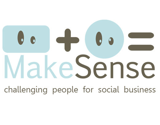 social entrepreneurship, social business, MakeSense, environment, social, networking
