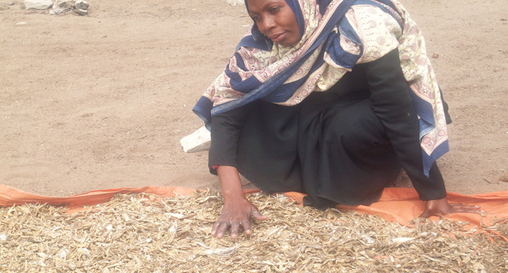 Tanzanie : Une femme prépare des sardines séchées